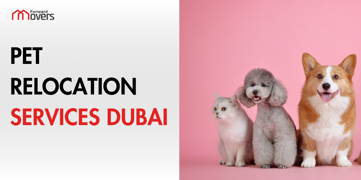 pet relocation services dubai