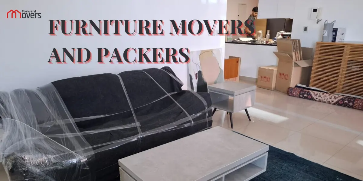 furniture movers and packers
