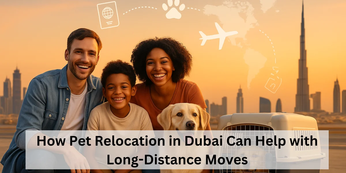 Pet Relocation in Dubai
