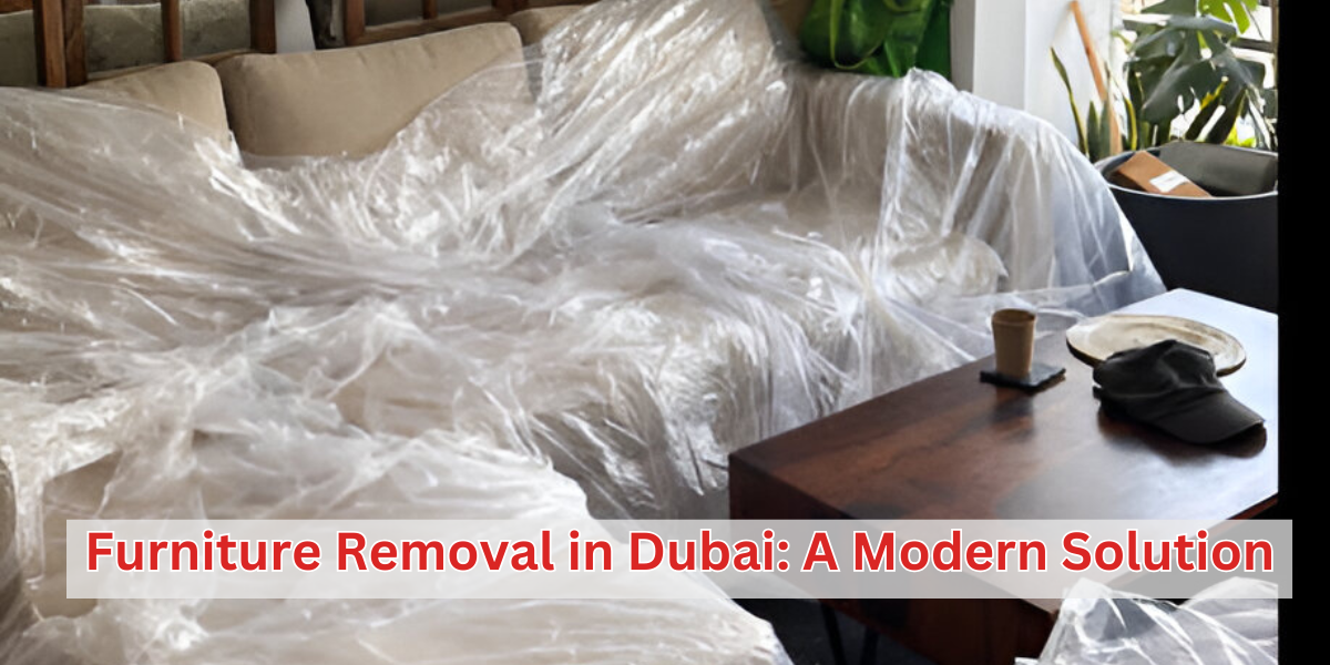 Furniture Removal in Dubai