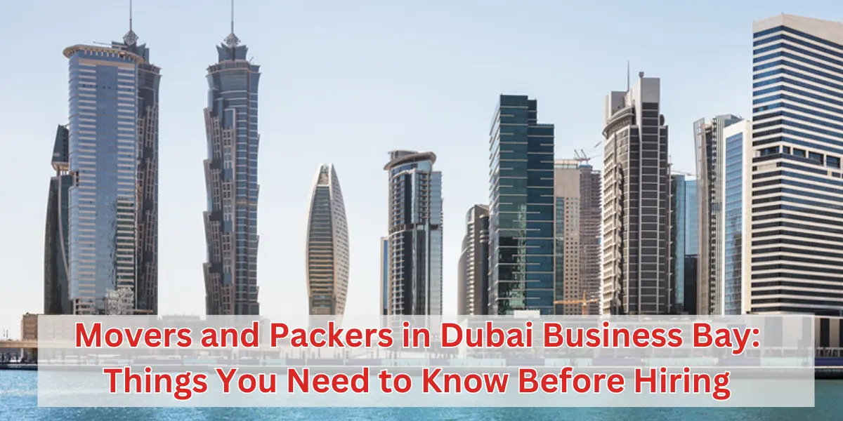 Professional Movers and Packers in Dubai
