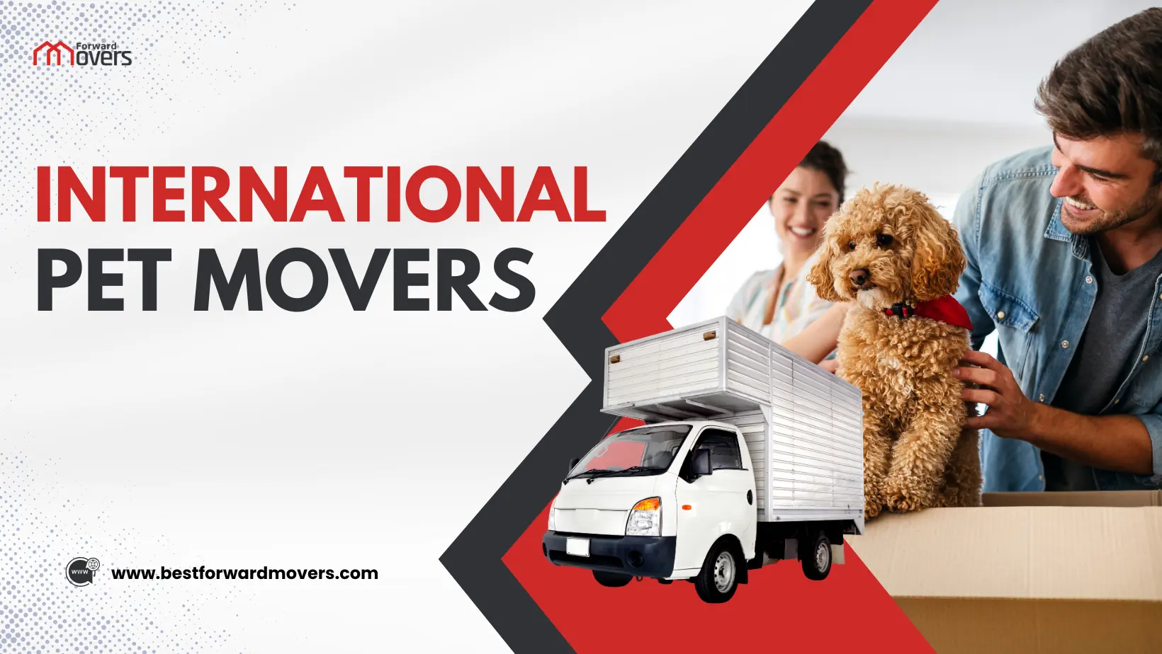 International Pet Movers